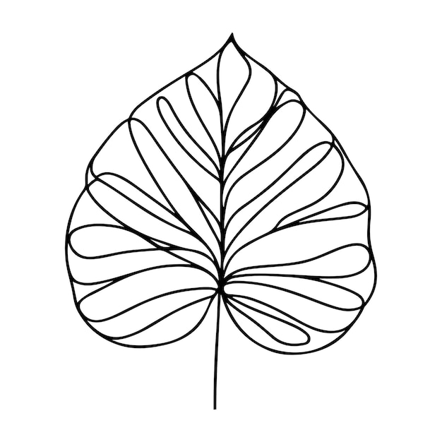 aesthetic decorative line art illustration of leaf floral