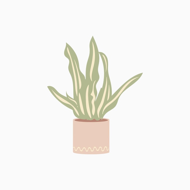 Aesthetic Indoor Plant Sansevieria Room Decoration Illustration