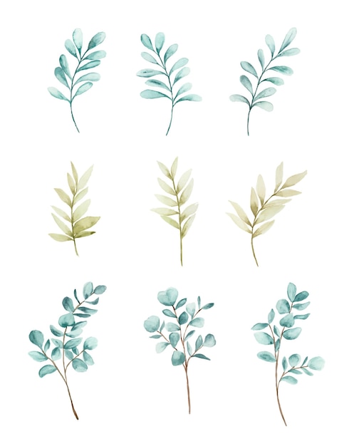 Aesthetic watercolor leaves clipart collection