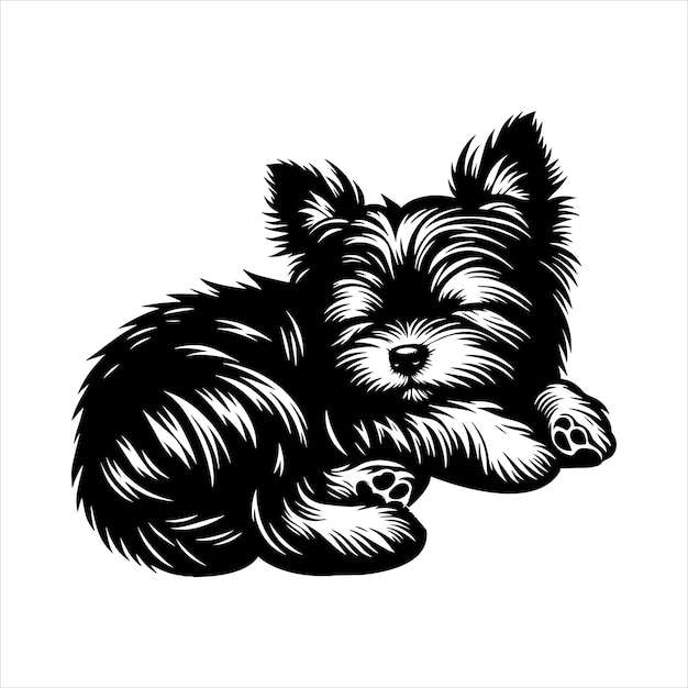 Affenpinscher Dog SVG