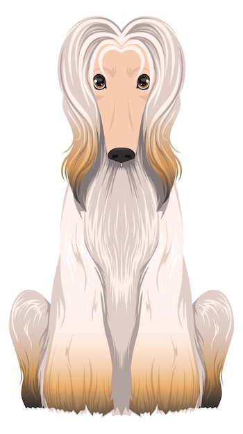 Afghan hound icon Cartoon white dog breed