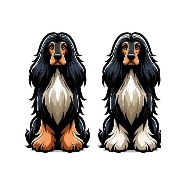 Vector afghan hound mascot vector on white background