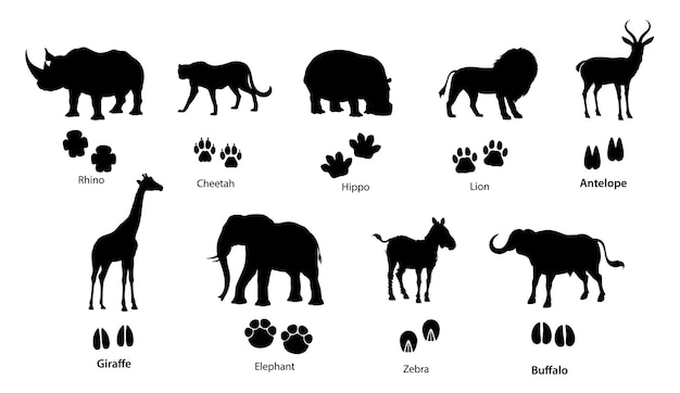 African animal silhouettes with footprints