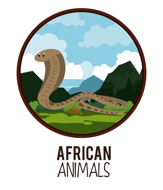 African animals cartoon