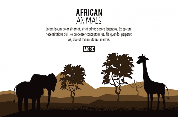 Vector african animals concept