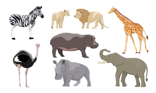 African animals set Elephant lion and lioness zebra ostrich hippo rhino and giraffe