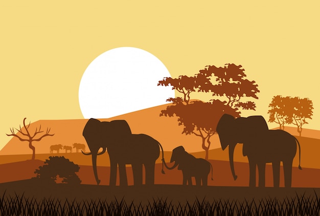 African animals silhouettes