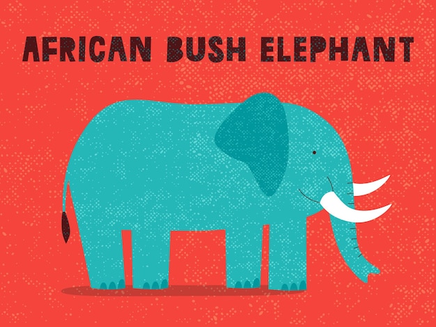 African bush elephant on red background