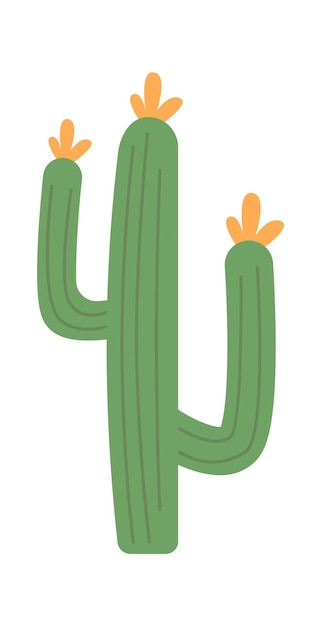 African cactus tropical plant Vector illustration