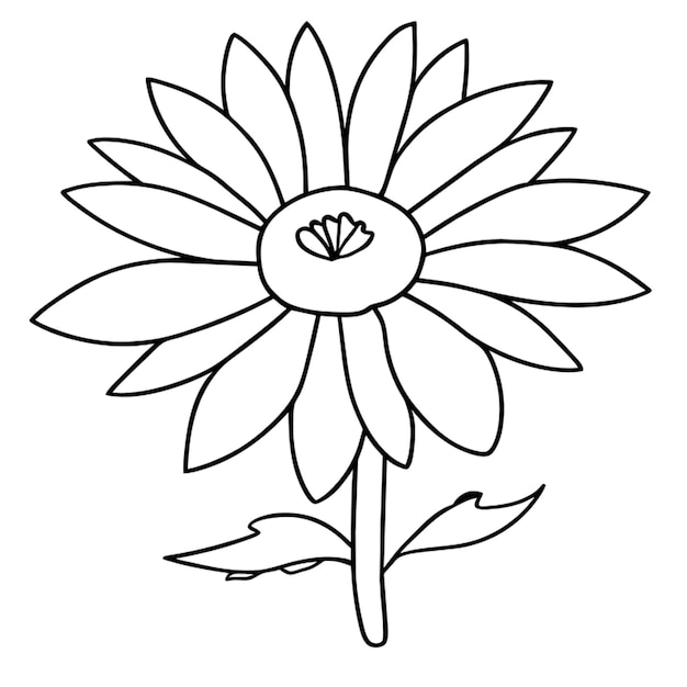 african daisy gerbera jamesonii coloring page free printable coloring pages opens a new tab african