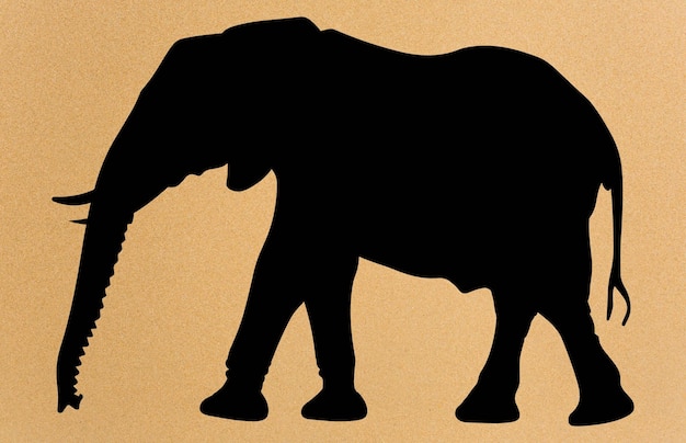 Vector african elephant animal silhouette wild african elephant silhouette