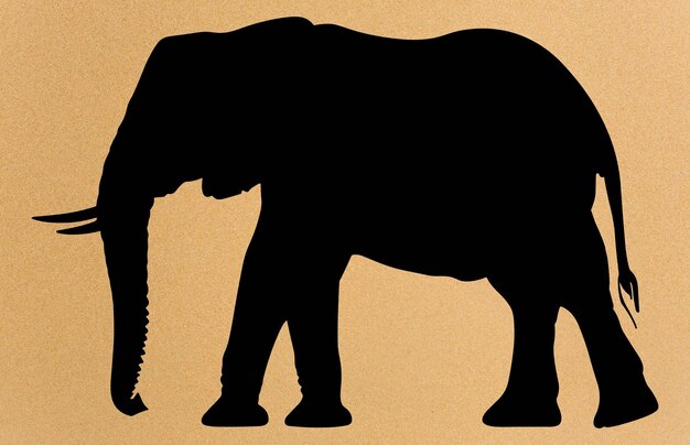 Vector african elephant animal silhouette wild african elephant silhouette