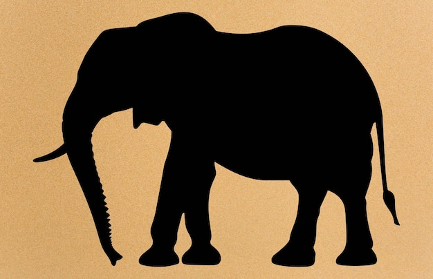 Vector african elephant animal silhouette wild african elephant silhouette