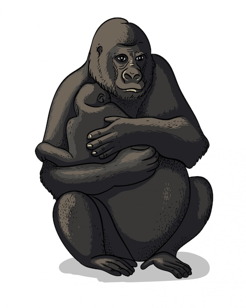 African female gorilla with baby-gorilla sitting isolated in cartoon style.