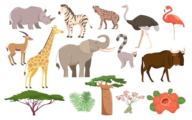 African flora and fauna African animals plants birds and trees Savanna mammals and vegetation