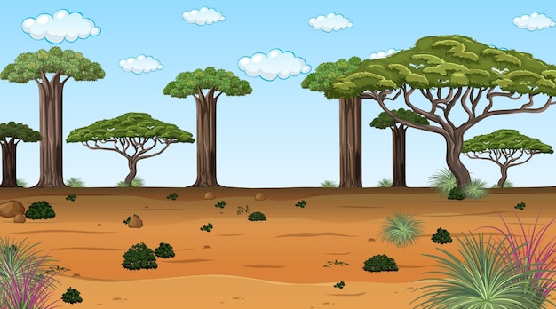 African forest landscape at daytime scene with many big trees