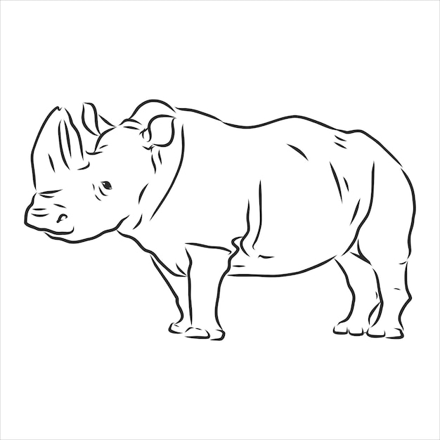 African rhinoceros Wild animal sketch, ink. Vector illustration for label. safari symbol.