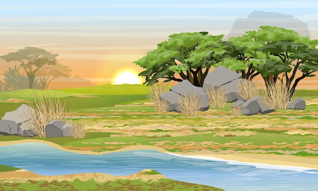 Vector african savannah. river, rocks and bush. wildlife of africa. realistic vector landscape