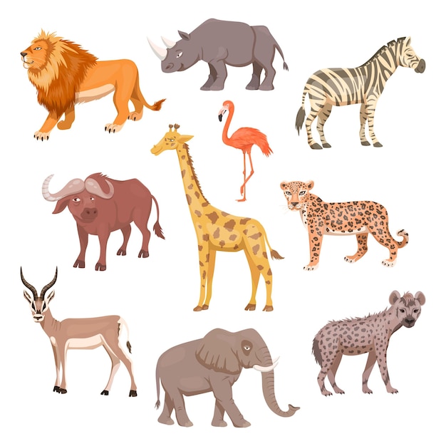 African Savannah Wild Animal Set Lion Rhino Zebra Buffalo Giraffe Flamingo Leopard Gazelle Elephant Hyena Flat Vector Illustration Animals of Africa Savannh Safari Concept