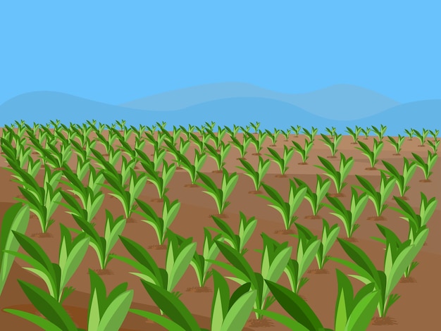 Agricultural Land, Agriculture concept. rural landscape background. Soil cultivation process