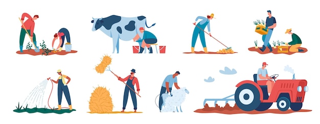 Agricultural workers harvesting plants farmers working in field watering crops shearing sheep vector