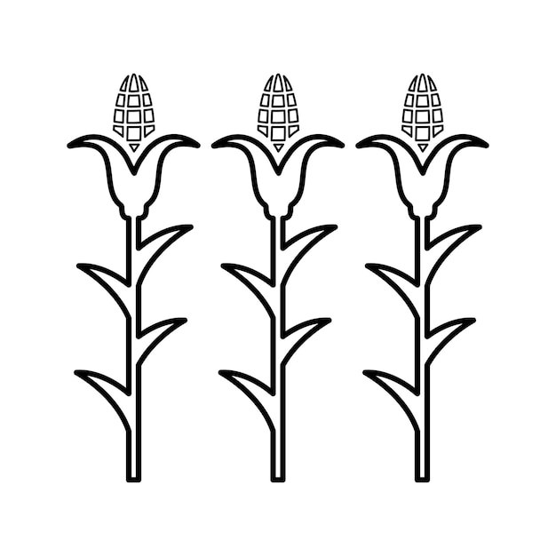 Agriculture cornfield crop icon Line outline design