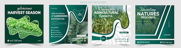 Vector agriculture farming services social media post banner template bundle set