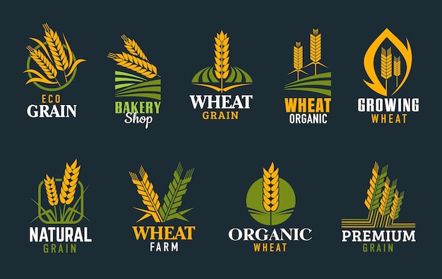 Agriculture icons with wheat rye cereal ears