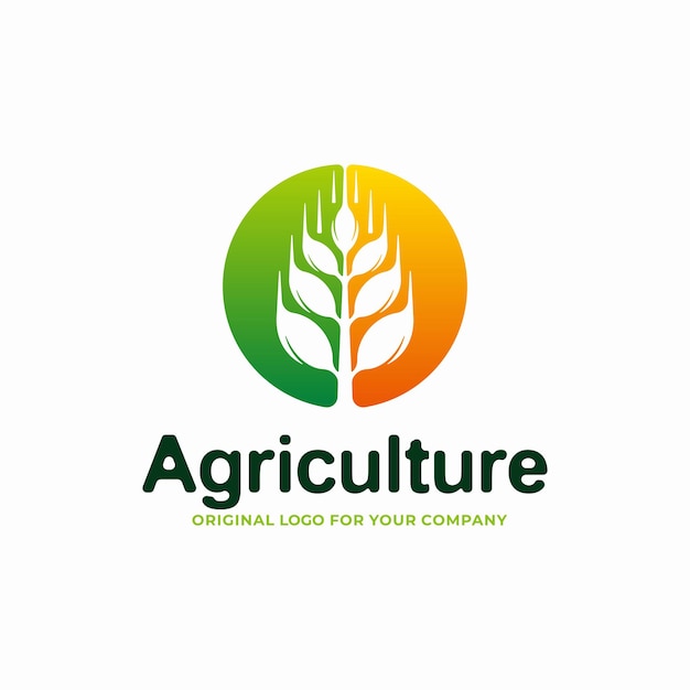 Agriculture logo design. Wheat and grain logo design template.