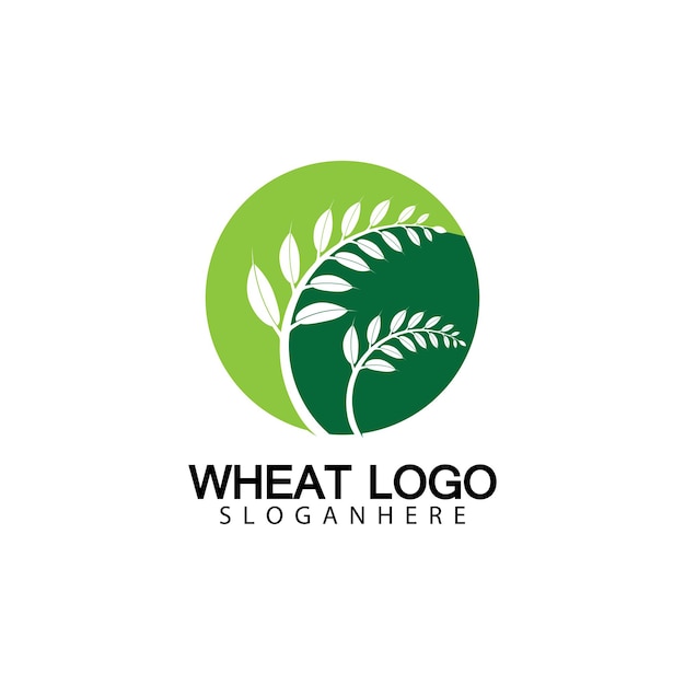 Agriculture Wheat logo template vector icon design