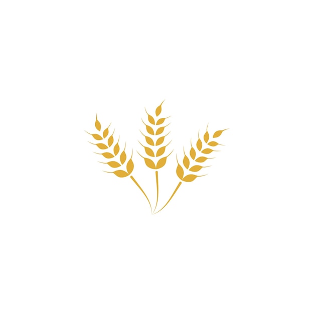 Agriculture wheat Logo Template vector