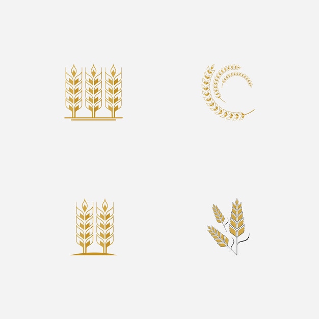 Agriculture wheat logo vector