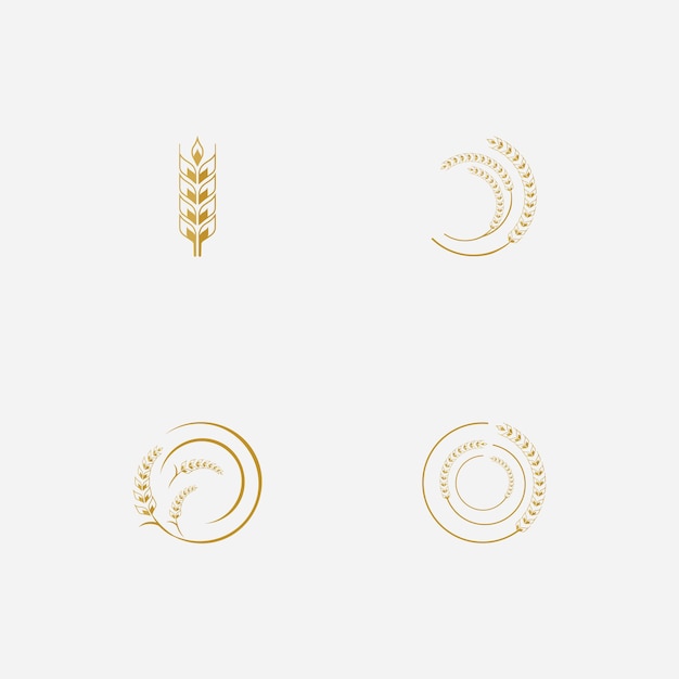 Agriculture wheat logo vector