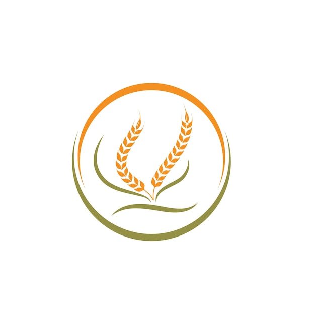 Agriculture wheat   vector icon illustration design template