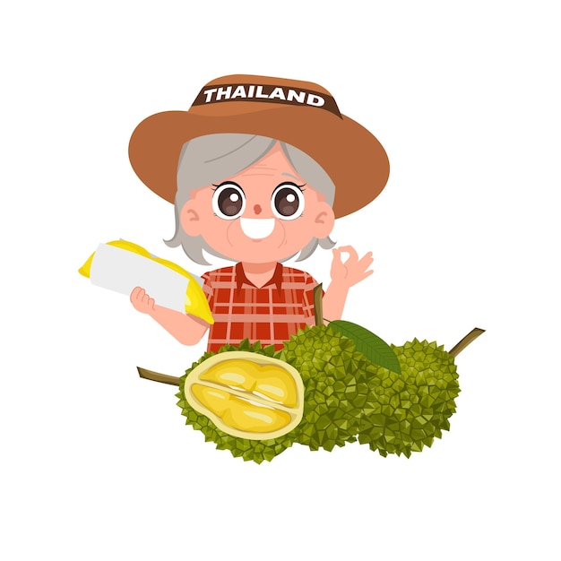 Agriculturist cute senior woman character with durian fruit cut Durian fruit with cut in half