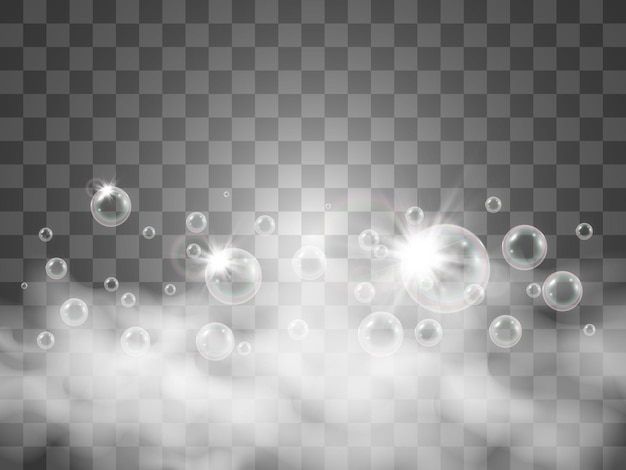 Air soap bubbles on a transparent background .Vector illustration of bulbs.