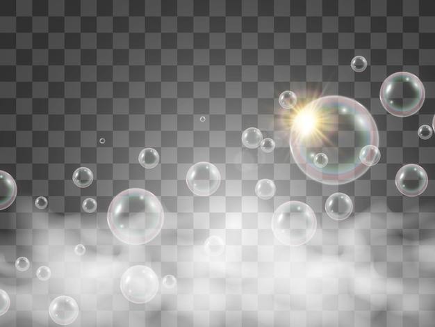 Air soap bubbles on a transparent background .Vector illustration of bulbs.