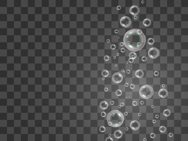 Air soap bubbles on a transparent background .Vector illustration of bulbs.