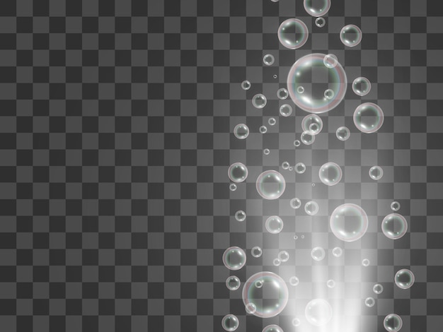 Air soap bubbles on a transparent background .Vector illustration of bulbs.