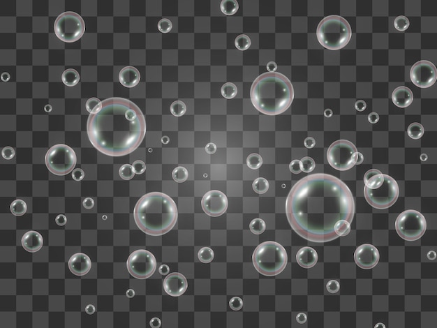 Air soap bubbles on a transparent background .Vector illustration of bulbs.