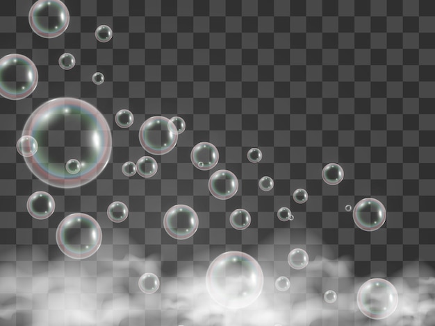 Air soap bubbles on a transparent background .Vector illustration of bulbs.