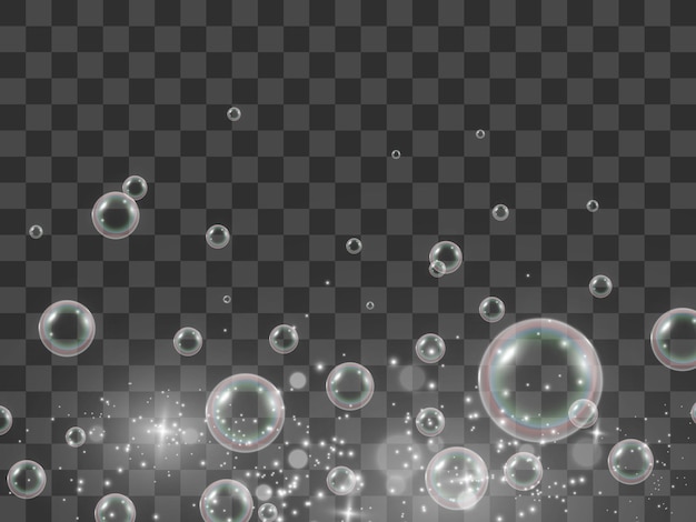 Air soap bubbles on a transparent background .Vector illustration of bulbs.