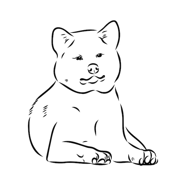 Akita dog face isolated vector illustration akita inu dog vector