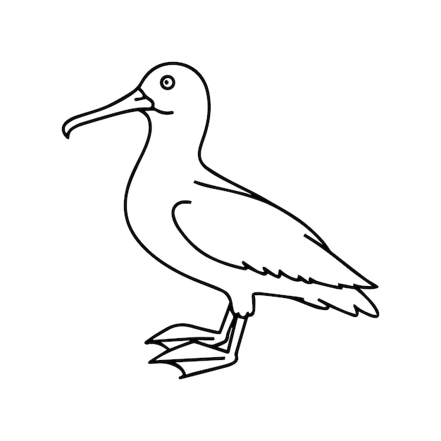 Albatross coloring pages Albatross outline vector for coloring book