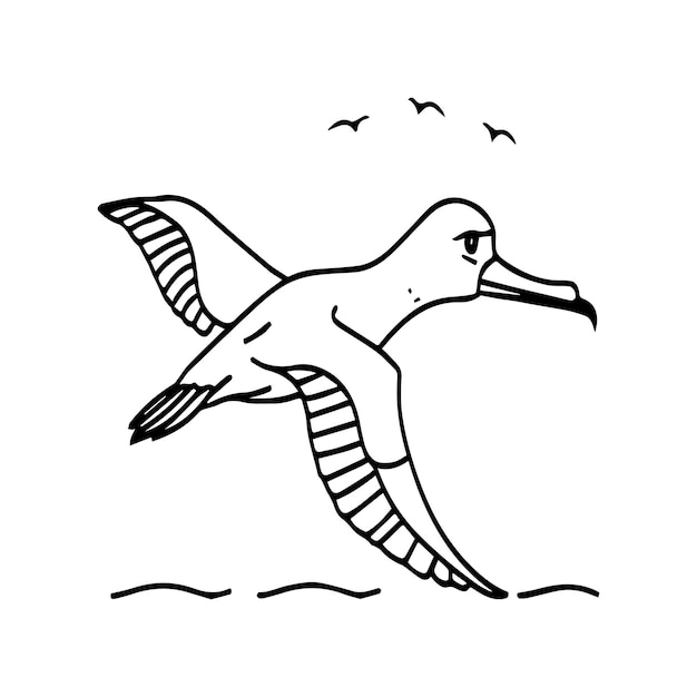 Vector albatross coloring pages albatross outline vector for coloring book