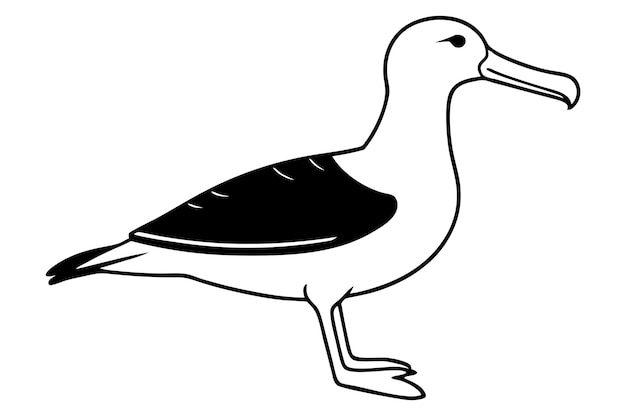 Albatross silhouette vector illustration