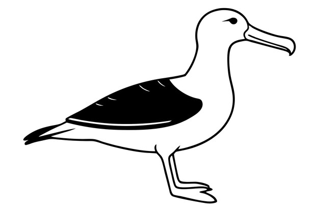 Vector albatross silhouette vector illustration