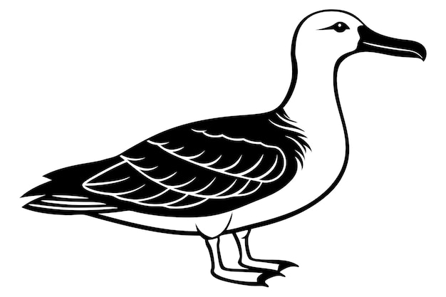 Albatross silhouette vector illustration