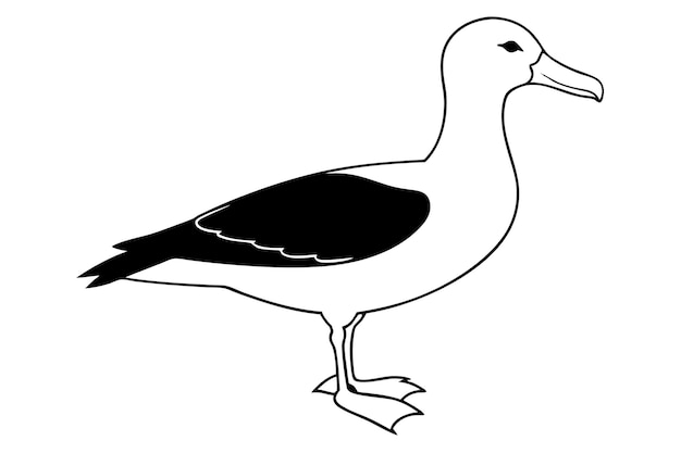 Vector albatross silhouette vector illustration