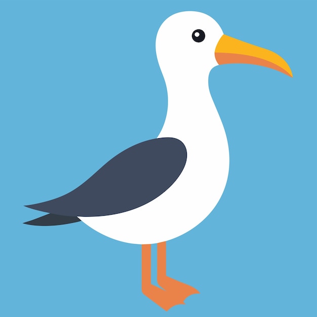 Albatross vector illustration